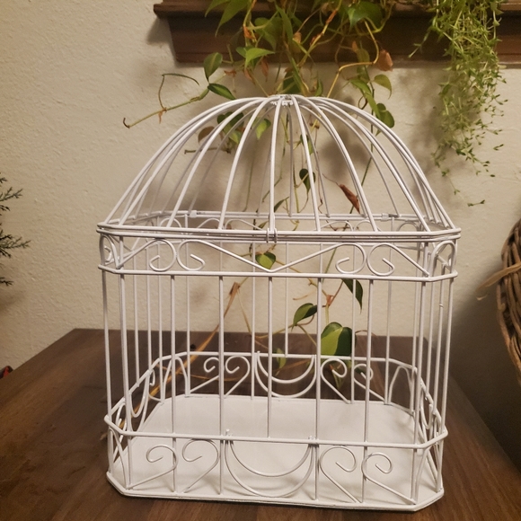 Other - White Wire Decor Bird Cage